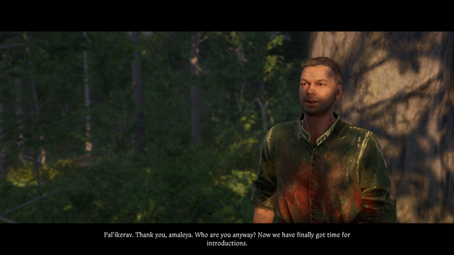 Kingdom Come: Deliverance II