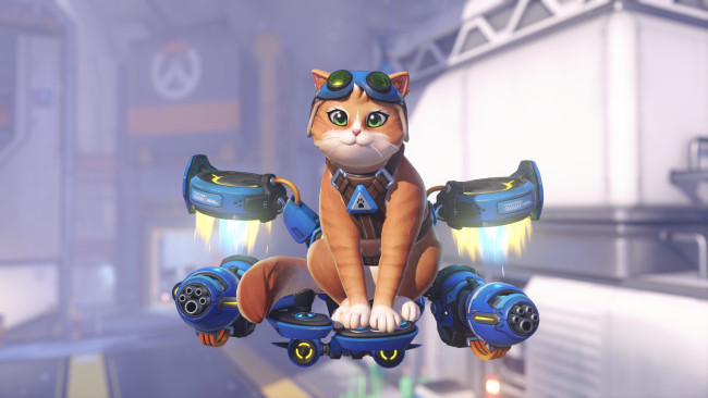 Nogle skins til Overwatchs Jetpack Cat vil være inspireret af udviklernes egne katte