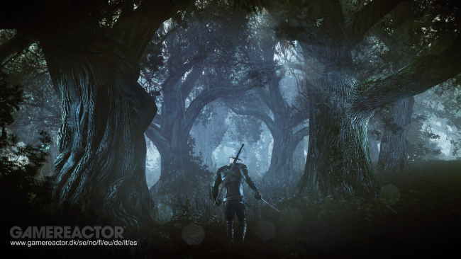 The Witcher 3: Wild Hunt