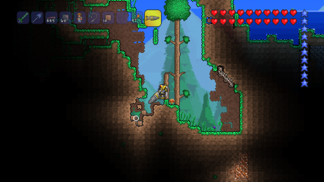Terraria