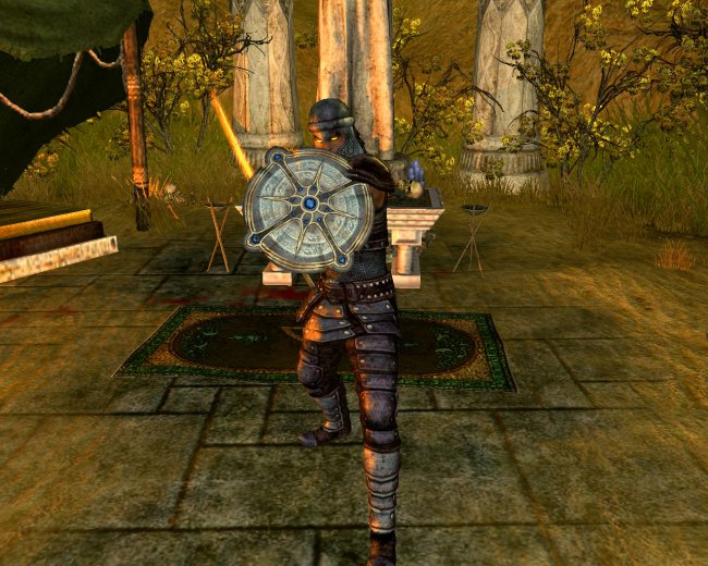Sacred 2: Fallen Angel