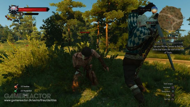 The Witcher 3: Wild Hunt