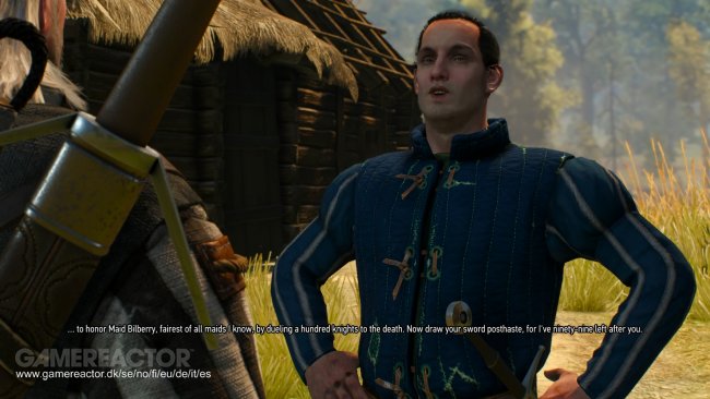 The Witcher 3: Wild Hunt