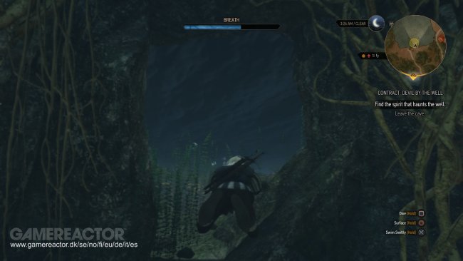 The Witcher 3: Wild Hunt