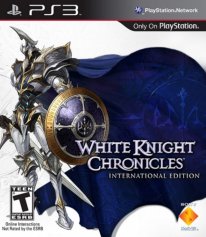 White Knight Story