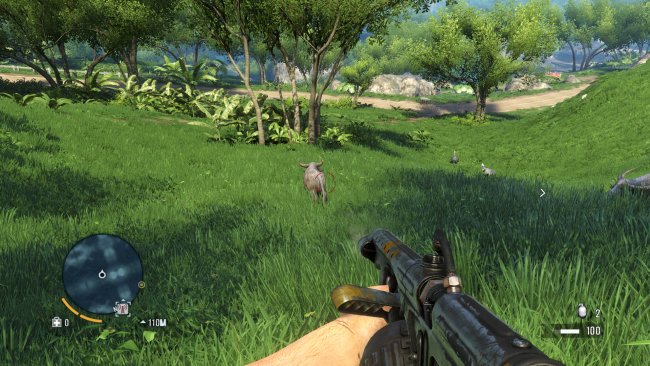Far Cry 3