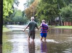 Klimakriser udg&oslash;r en stigende trussel mod demokratiet, if&oslash;lge den nye rapport