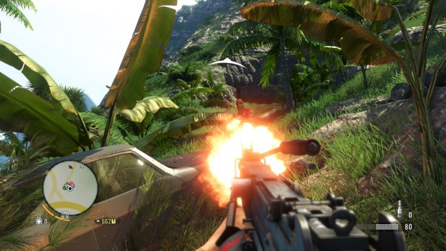 Far Cry 3