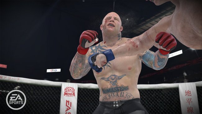 EA Sports MMA