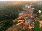 Ulovlige minearbejdere h&aelig;rger Amazonas i rekordtempo, mens guldprisen stiger voldsomt
