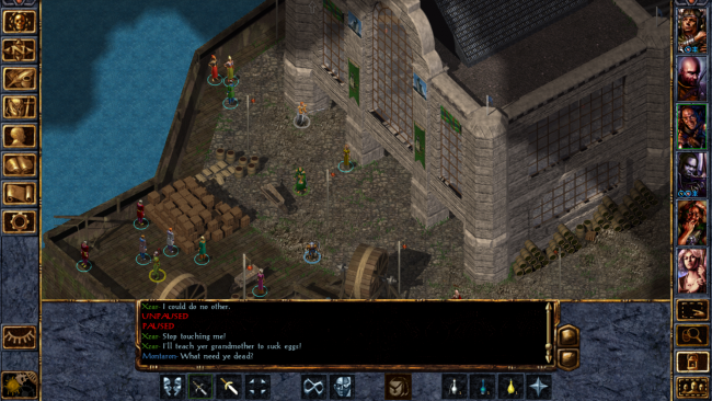 Baldur's Gate: Enhanced Edition