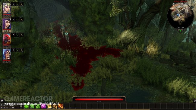 Divinity: Original Sin II