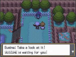 Pokémon Heartgold/Soulsilver