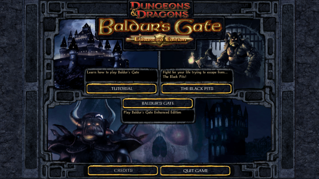 Baldur's Gate: Enhanced Edition
