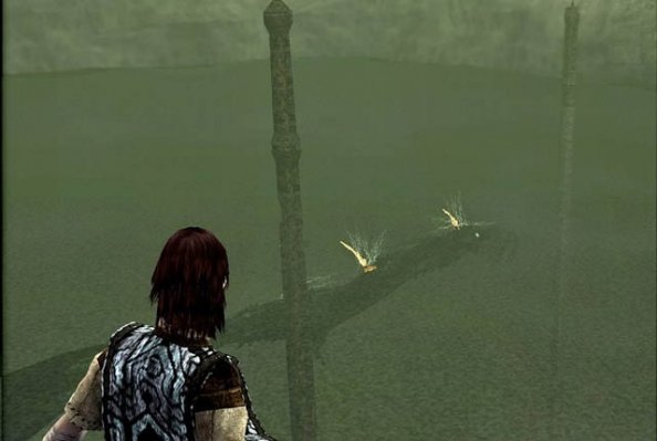 Shadow of the Colossus (2005)