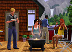 The Sims 3 Console