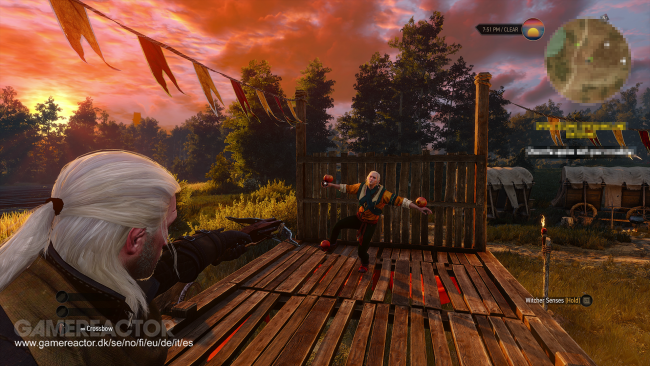 The Witcher 3: Wild Hunt
