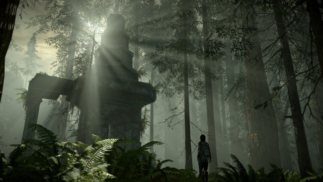 Shadow of the Colossus