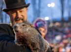 Punxsutawney Phil forudsiger seks uger mere vinter for USA p&aring; Groundhog Day